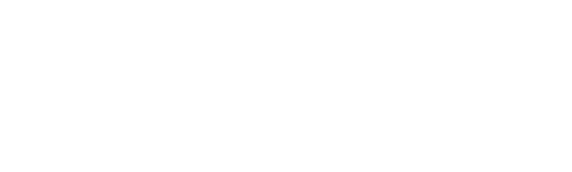Salomón Sadi Logo